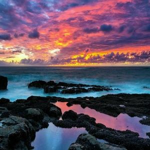 Meet your Posher, Mia